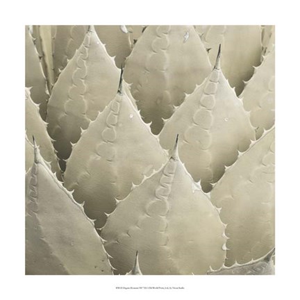 Framed Organic Elements VII Print