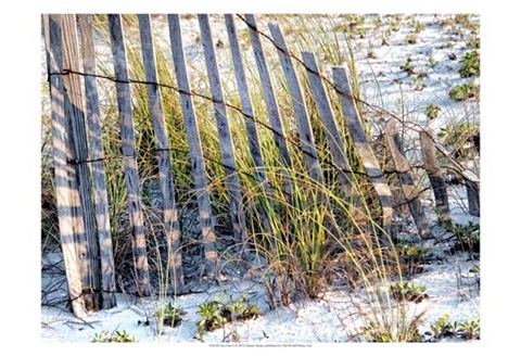 Framed Sea Oats I Print