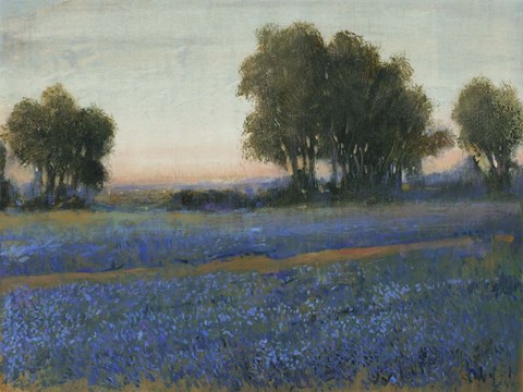 Framed Blue Bonnet Field II Print