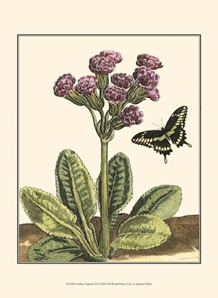 Framed Garden Vignette II Print