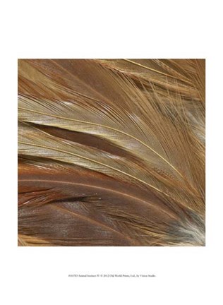 Framed Animal Instinct IV Print