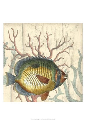 Framed Coastal Montage I Print