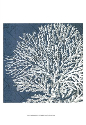 Framed Coastal Menagerie I Print