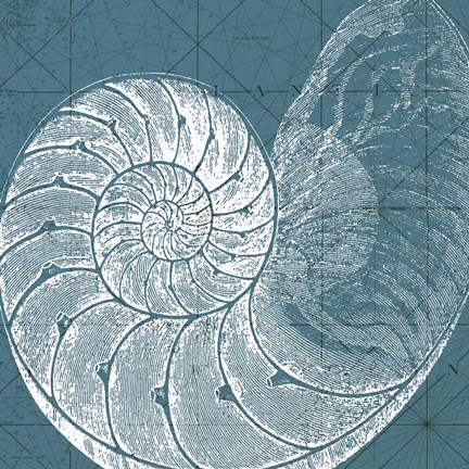 Framed Coastal Menagerie VI Print