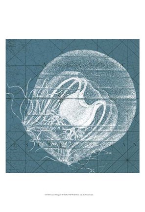 Framed Coastal Menagerie IX Print