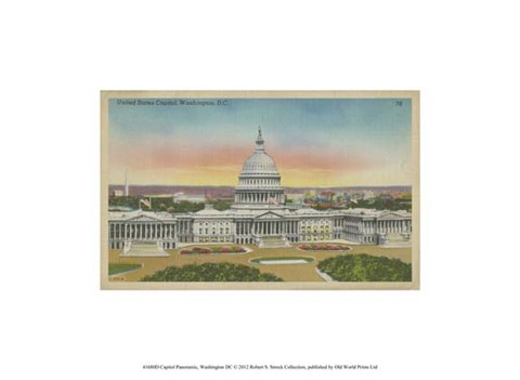 Framed Capitol Panoramic, Washington, D.C. Print