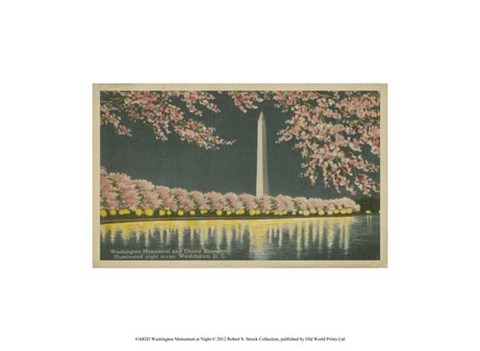 Framed Washington Monument at Night Print