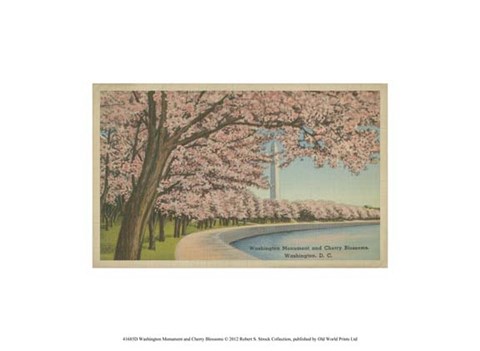 Framed Wash. Monument &amp; Cherry Blossoms Print