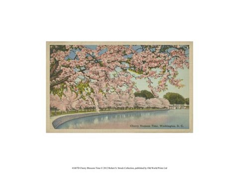 Framed Cherry Blossom Time Print