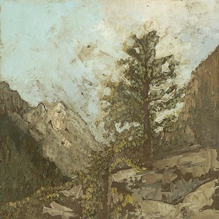 Framed Western View VI Print