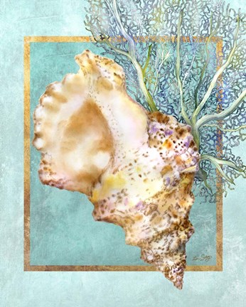 Framed Conch Shell and Coral Print
