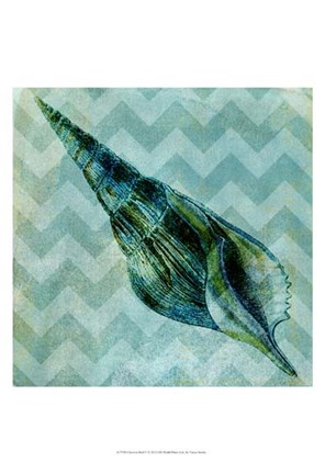 Framed Chevron Shell V Print