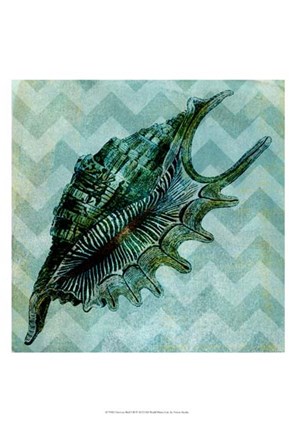 Framed Chevron Shell VII Print