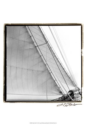 Framed Undersail I Print