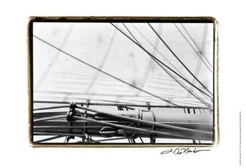 Framed Undersail IV Print
