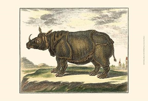 Framed Rhino Print