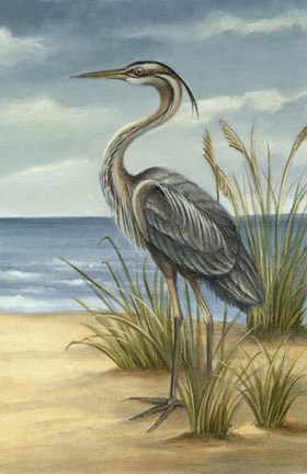 Framed Shore Bird II Print