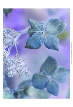 Framed Dainty III Print