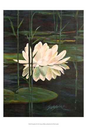 Framed Tranquility II Print