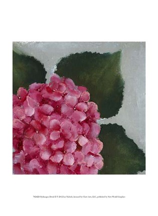 Framed Hydrangea Detail II Print