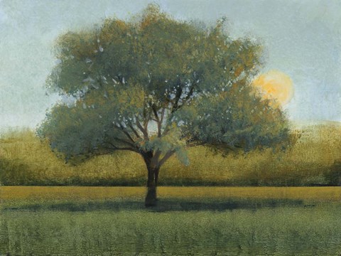 Framed Sunrise I Print