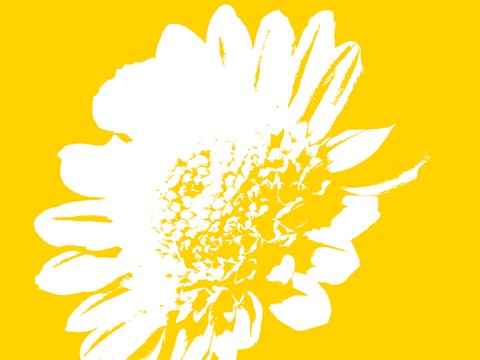 Framed Yellow Mum Print