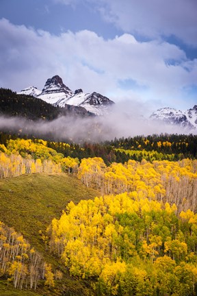 Framed Ridgway Colors Print