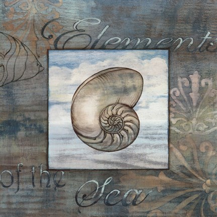 Framed Elements of the Sea IV Print