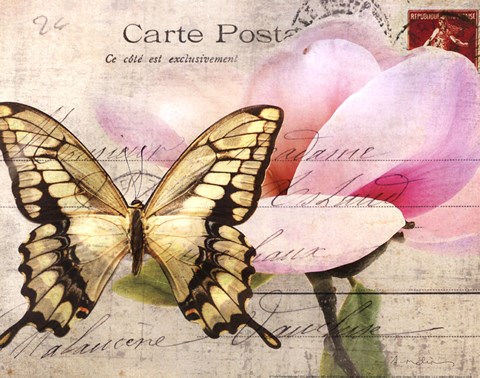 Framed Carte Postale Magnolia I Print