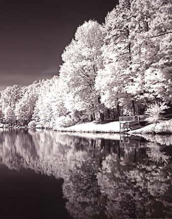 Framed Ayer's Lake BW III Print
