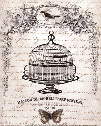 Framed French Birdcage I - mini Print