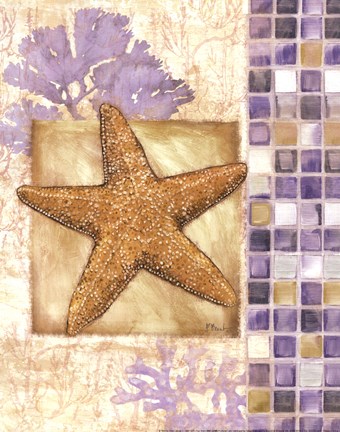 Framed Mosaic Shell Collage II - mini Print