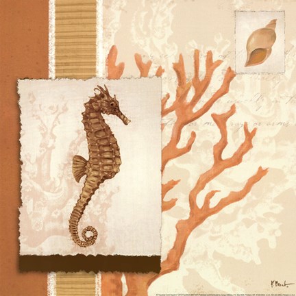 Framed Aquarius Coral Sq II Print