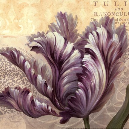 Framed Purple Garden II - mini Print