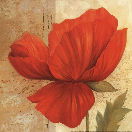 Framed Papaver I - mini Print