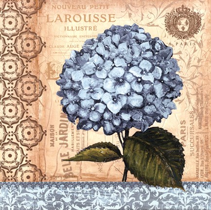 Framed Hydrangea - mini Print
