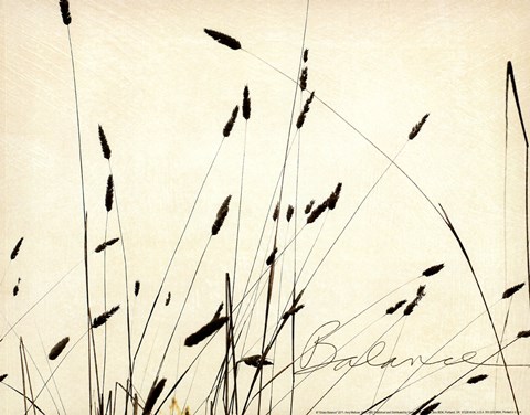Framed Grass Balance Print