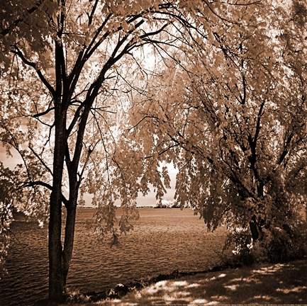 Framed Hopewell Shores Sepia Sq I Print