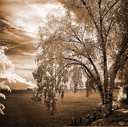 Framed Hopewell Shores Sepia Sq II Print