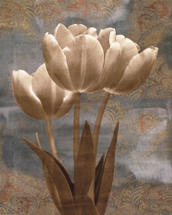 Framed Tulip I Print