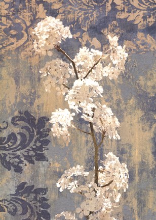Framed Blossom I Print