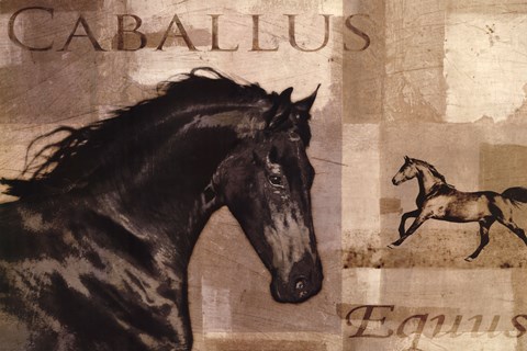 Framed Caballus I Print