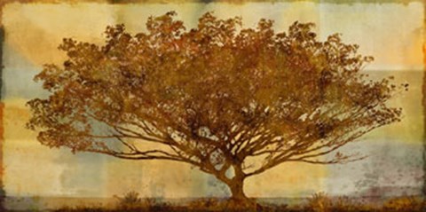 Framed Autumn Radiance Sepia Print
