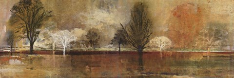 Framed Tree Shadows II Print