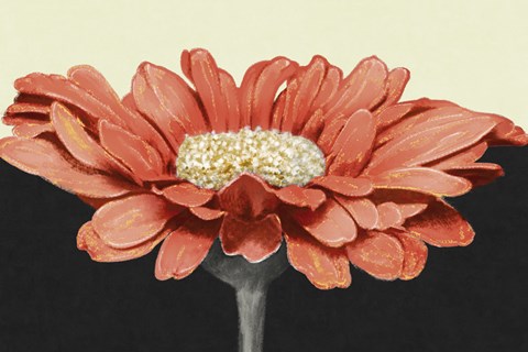 Framed Apricot Flame I Print