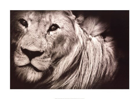 Framed Mane Event Print