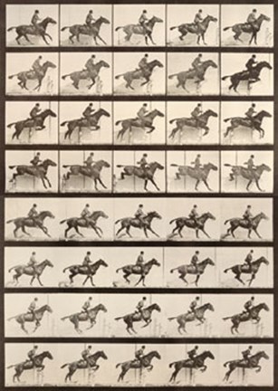 Framed Jumping a Hurdle Print