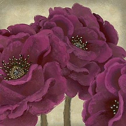 Framed Peony Dusk II Print