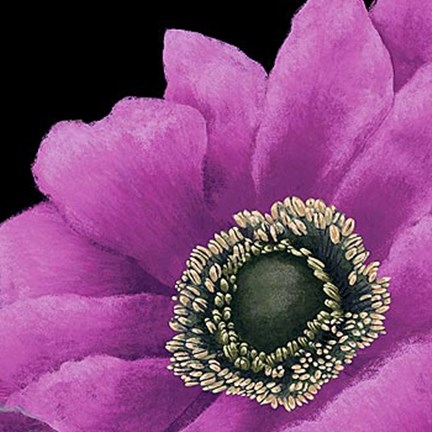 Framed Brilliant Blooms II Print