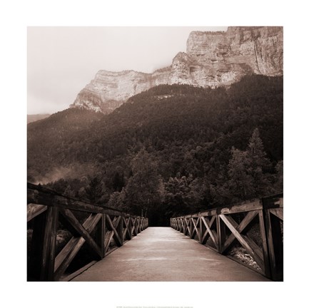 Framed Into the Wilderness Print